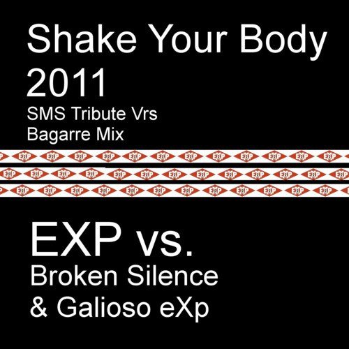 Shake Your Body 2011 (Bagarre Mix)