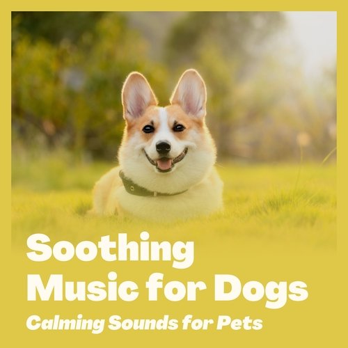 Soothing Music for Dogs - Calming Sounds for Pets_poster_image