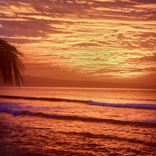 Acoustic Tropicale cover art