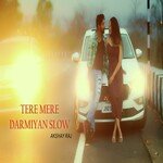 TERE MERE DARMIYAN SLOW