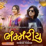 Tari Upar Man Aavi Jelu Radhladi