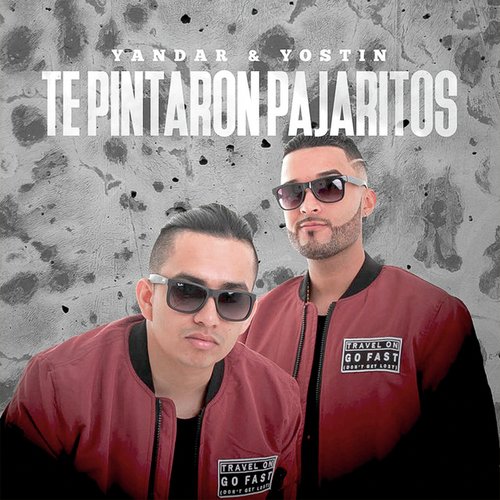 Te Pintaron Pajaritos_poster_image