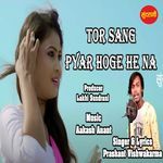 Tor Sang Pyar Hoge He Na
