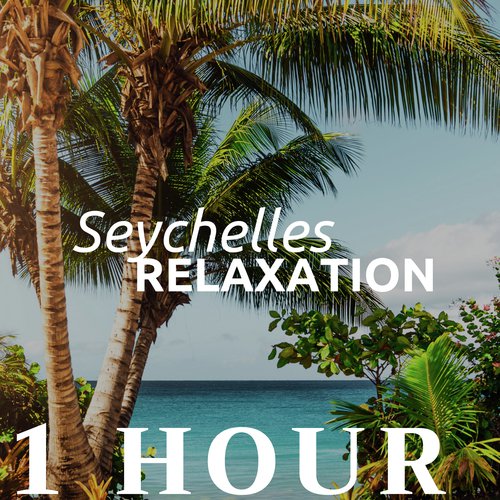 Spa Meditation and Relaxation cover art