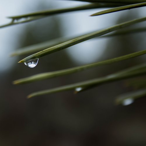 Waiting for the Rain cover art