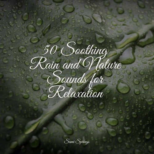 50 Soothing Rain and Nature Sounds for Relaxation_poster_image