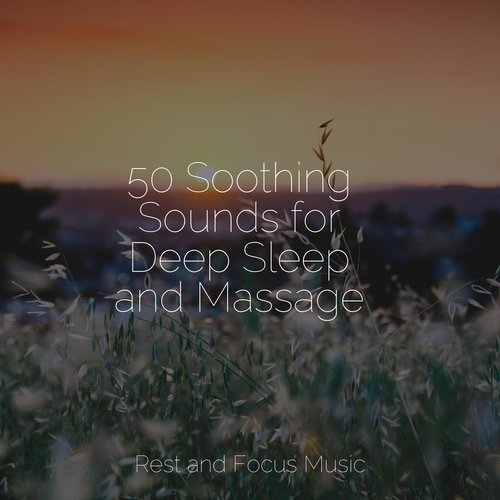 50 Soothing Sounds for Deep Sleep and Massage_poster_image