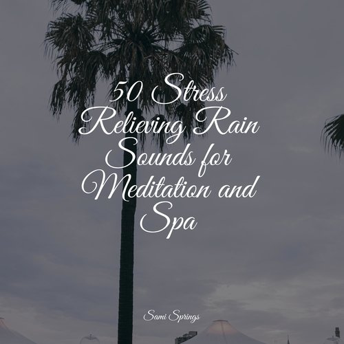 50 Stress Relieving Rain Sounds for Meditation and Spa