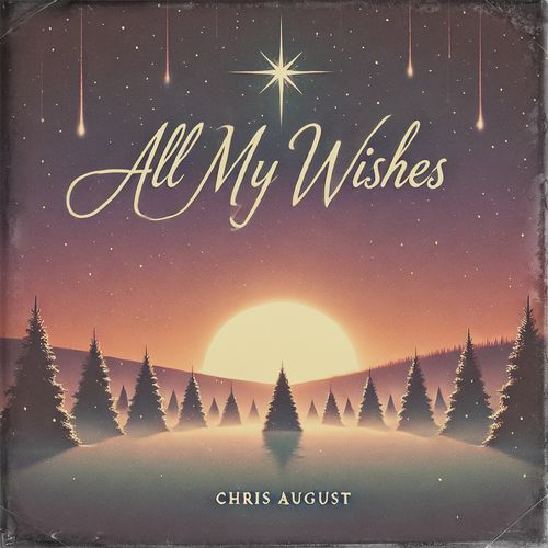 All My Wishes_poster_image