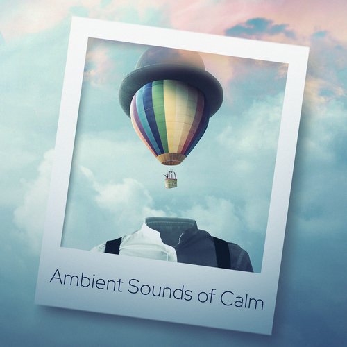 Comfort cover art