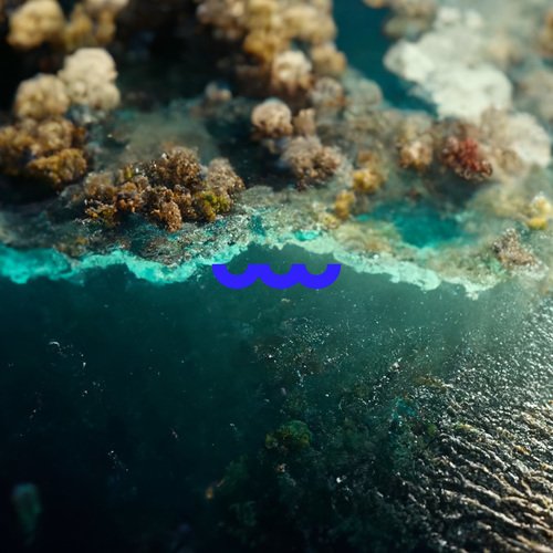Ave de Paraiso cover art