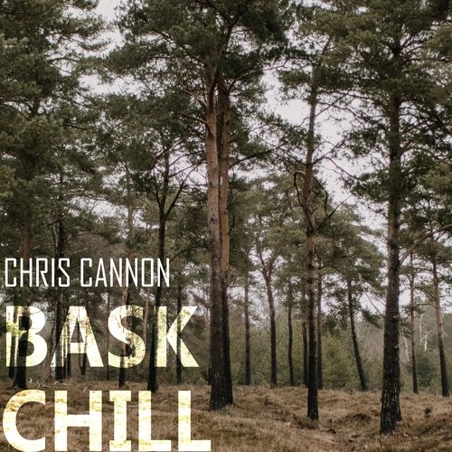 Bask Chill