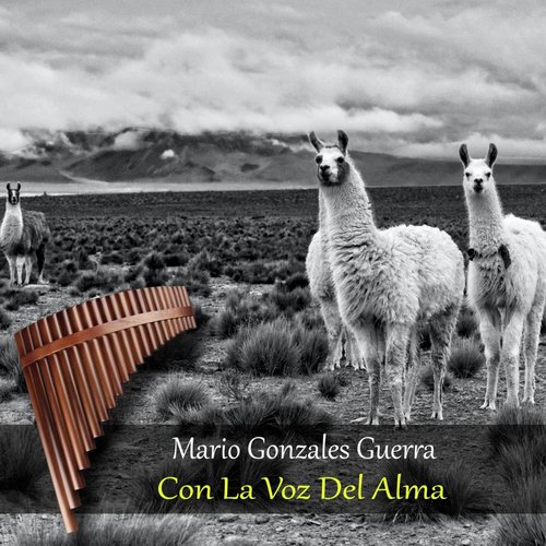El Silencio del Corazon cover art