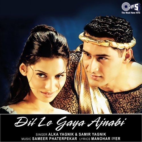 Dil Le Gaya Ajnabi_poster_image