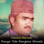 Dunya Tola Rangena Shwala