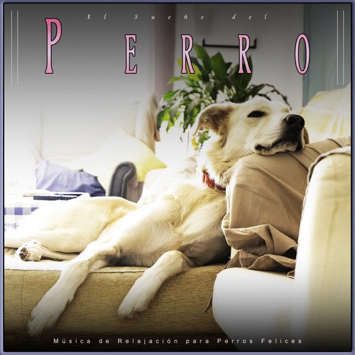 Música para Perros Con Ansiedad cover art