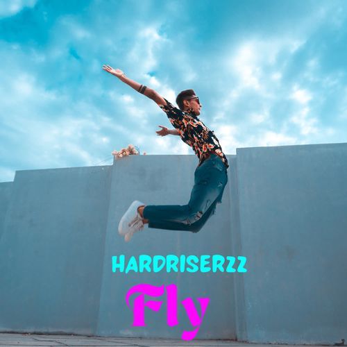 Fly cover art