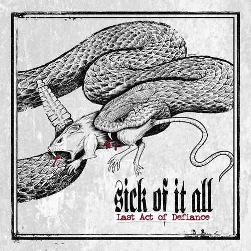 DNC cover art