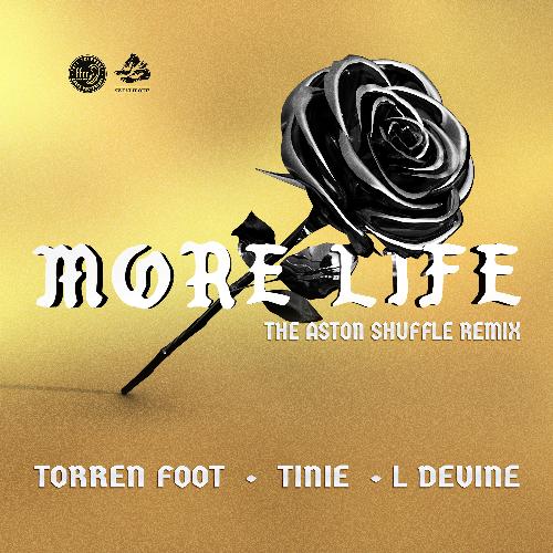 More Life (feat. Tinie Tempah &amp; L Devine) (The Aston Shuffle Remix)_poster_image