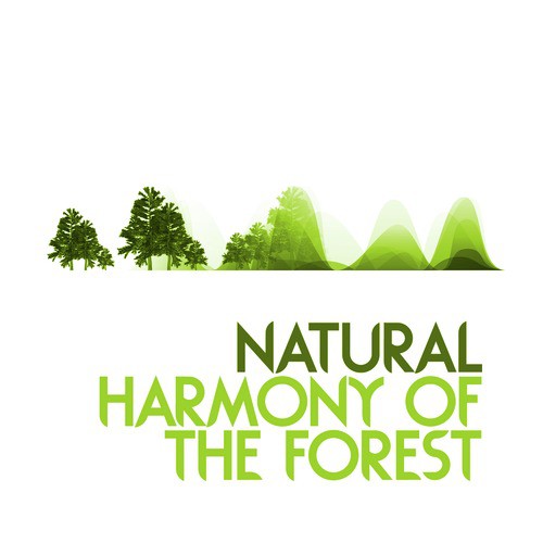 Natural Harmony of the Forest