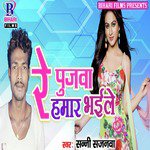 Re Pujawa Hamar Bhaile