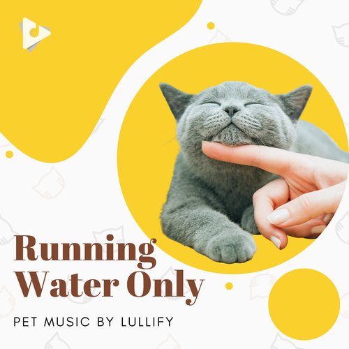 Ok But Pet Me cover art