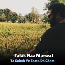 Ta Sabab Ye Zama Da Gham-Px8pfDBWBHk