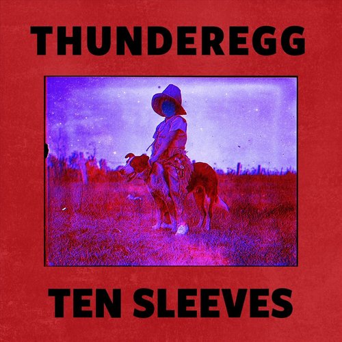 Ten Sleeves cover art