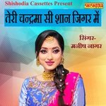 Teri Chanderma Si Shan Jigar Me