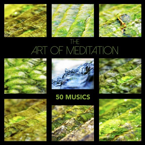 Mindfulness Meditation Music Spa cover art