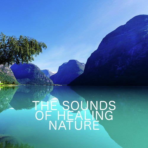 The Sounds of Healing Nature_poster_image