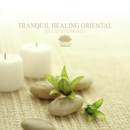 Mindful Spirit cover art