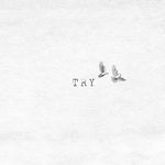 Try (Duet Version)