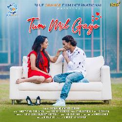 Tum Mil Gaye-NQ0HeBB,QFI