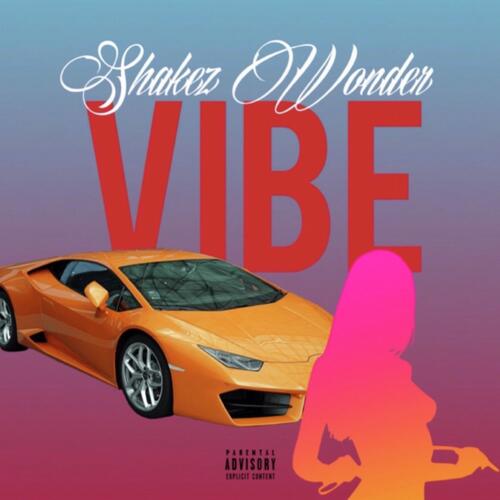Vibe cover art