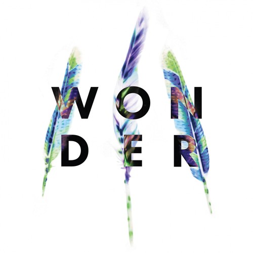 Wonder_poster_image