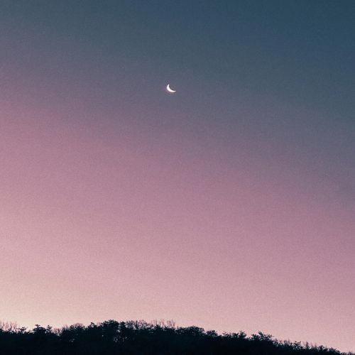 to the moon and back