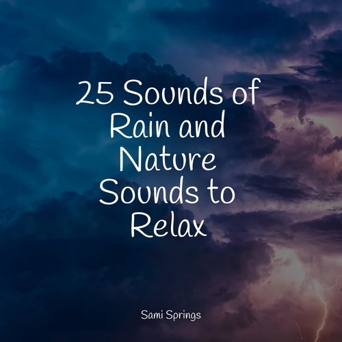 25 Sounds of Rain and Nature Sounds to Relax_poster_image