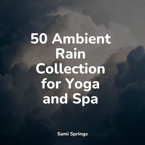 50 Ambient Rain Collection for Yoga and Spa