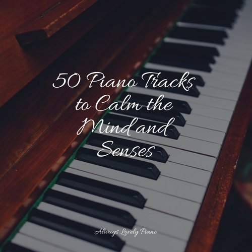 50 Piano Tracks to Calm the Mind and Senses