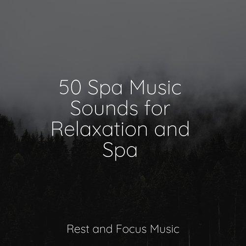 50 Spa Music Sounds for Relaxation and Spa_poster_image