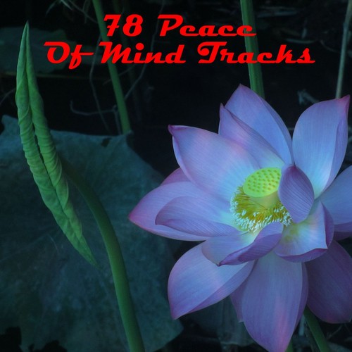 78 Peace Of Mind Tracks