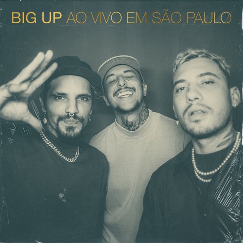 Sinta (Ao Vivo) cover art