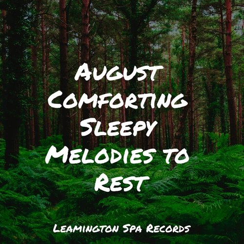 August Comforting Sleepy Melodies to Rest