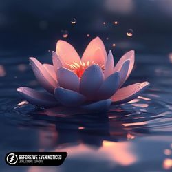 Before We Even Noticed