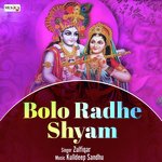 Bolo Radhe Shyam