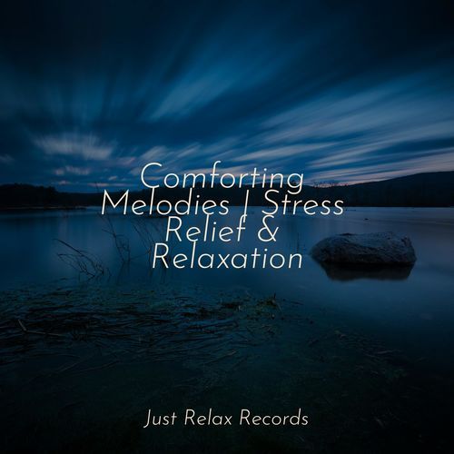 Comforting Melodies | Stress Relief & Relaxation_poster_image