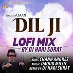 Dil Ji Lofi Mix