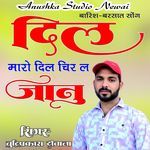 Dil Maro Chir Dek L Janu