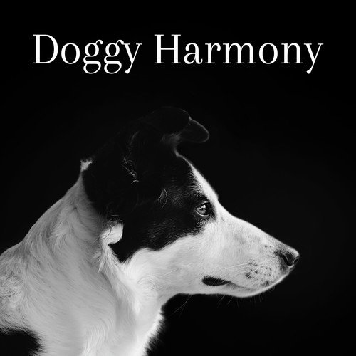 Doggy Harmony